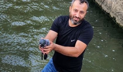 Malatya’da kanala düşen yaralı güvercin hayata tutundu