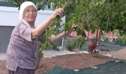 Arapgir’de dutlar heba olmasın diye 85 yaşındaki çiftten pekmez mesaisi
