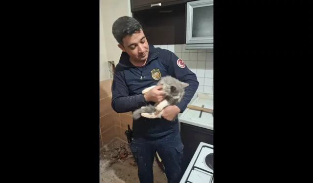 Havalandırma boşluğuna düşen kediyi itfaiye kurtardı