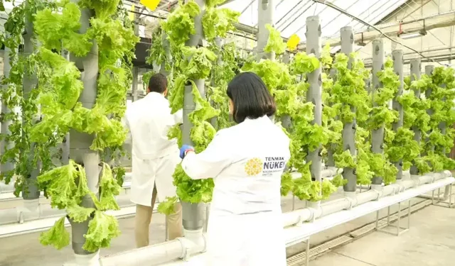 Türkiye gıda arz güvenliği için nükleer teknoloji devrede