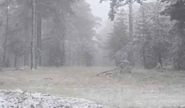 Eskişehir yılın ilk karını gördü