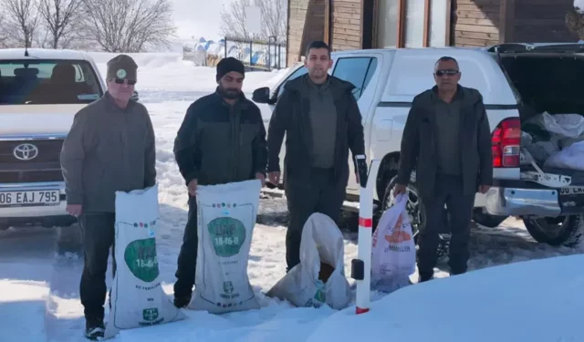 Siirt’te yaban hayvanlarına kış desteği: Doğaya yem bırakıldı