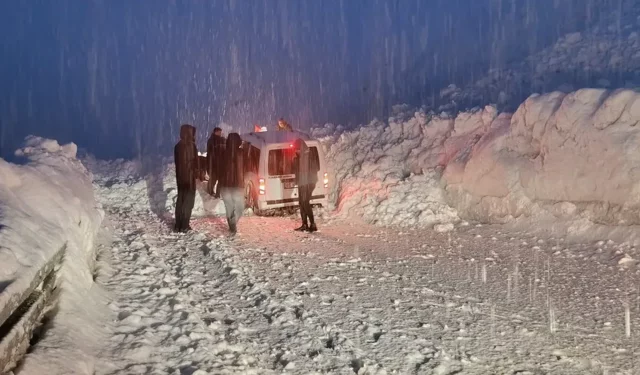 Hakkari-Van karayolunda çığ paniği: 5 araç ekiplerce kurtarıldı