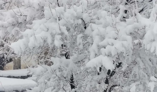 Malatya’nın o ilçesinde kar kalınlığı 1 metreye yaklaştı
