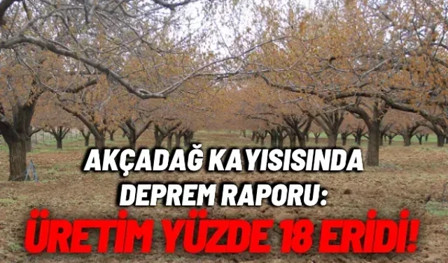 Akçadağ kayısısında deprem raporu: Üretim yüzde 18 eridi!