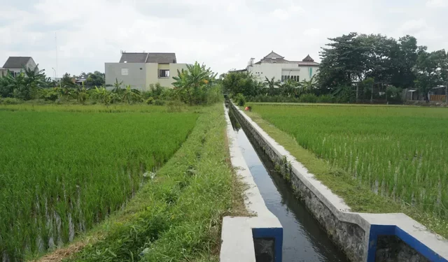 SULAMA KANALLARI BAKIM ONARIM VE YENİLEME İŞLERİ YAPTIRILACAK