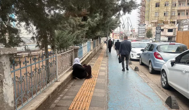 Malatya’da sayıları artıyor artık önüne geçilemiyor