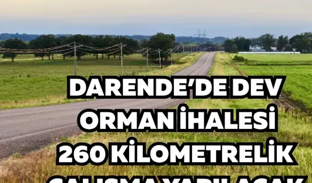 Darende’de dev orman ihalesi! 260 kilometrelik çalışma yapılacak
