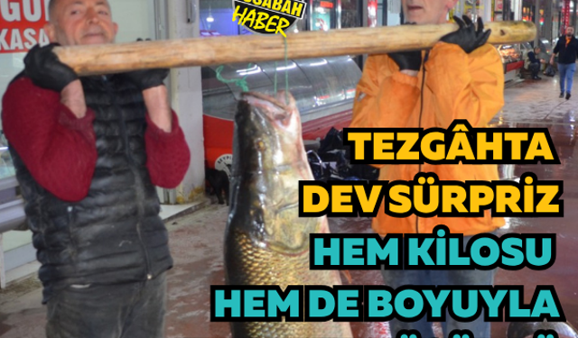 Tezgâhta dev sürpriz! Hem kilosu hem de boyuyla hayrete düşürdü