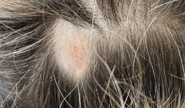 42 yıllık berberden şaşırtan iddia: Saçkıran 14 günde tarih oluyor