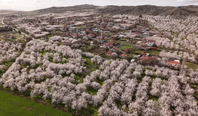 Bakım işlemleri düzenli yapılırsa verim ve kalite artar