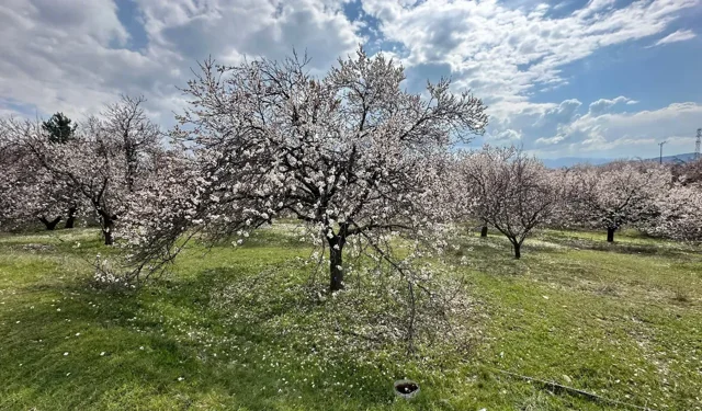 Saç dökülmesi hastalık belirtisi mi?