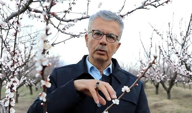 Kayısıda don alarmı: -3 dereceye dikkat!