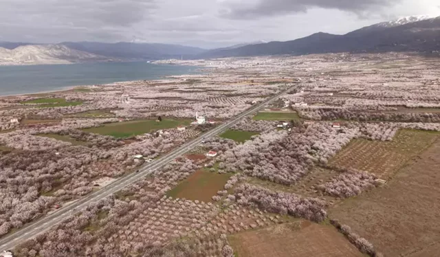 Malatya'da tapusu olanlar dikkat: O tarih değişti, artık zorunlu!
