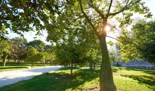 Çöşnük’e millet bahçesi, Zafer Mahallesi’ne 100 araçlık otopark