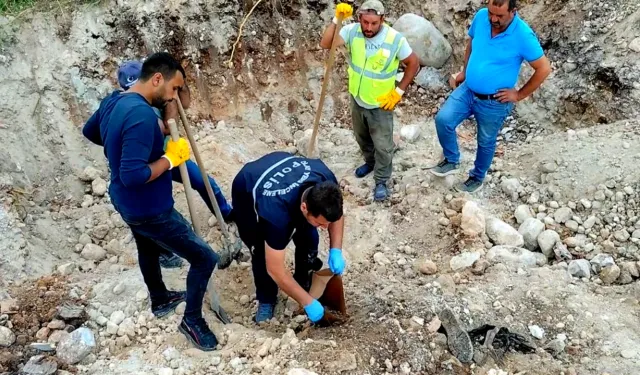 Doğanşehir’de 10 yıl sonra aydınlatılan vahşet için karar açıklandı