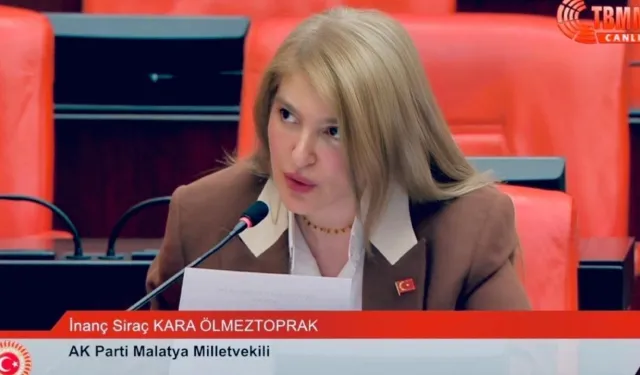 Malatya’nın sorunları Meclis gündeminde