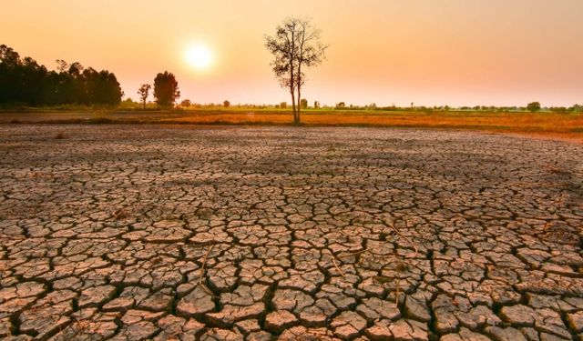 Uzmanlardan kritik El Nino uyarısı!