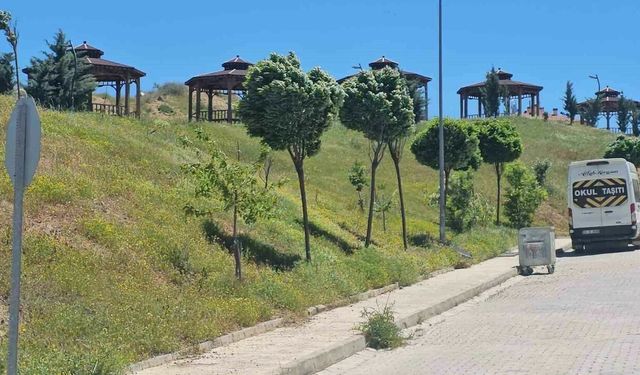 Elazığ'da şiddetli rüzgar etkili oldu