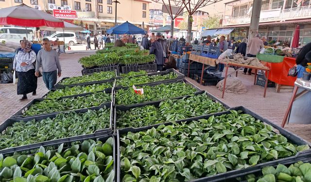 Malatya’da pazar el yakıyor, vatandaş toprağa sarıldı: Talebe yetişemiyorlar!