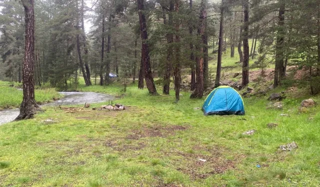 Piknik yaptıkları alana yıldırım düştü: 1’i ağır 3 yaralı