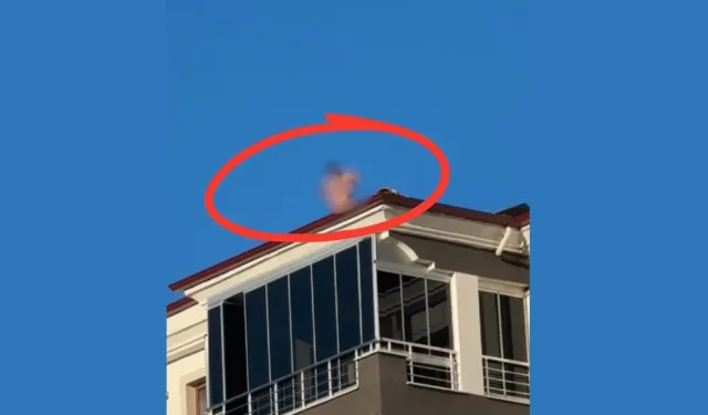 Yeşilyurt’ta çatıya çıkan şahıs mahalleliyi tedirgin etti