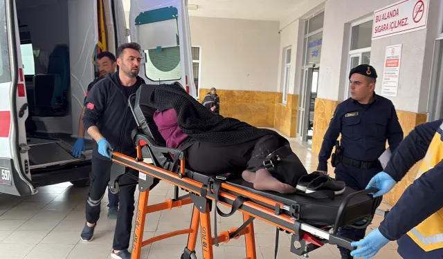 Yıldızeli’nde husumet dehşeti: Amca yeğenini öldürdü!