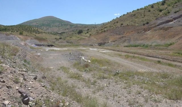 Dünya kayısı merkezinde su çığlığı: Battalgazi üreticisi Ankara'ya seslendi!