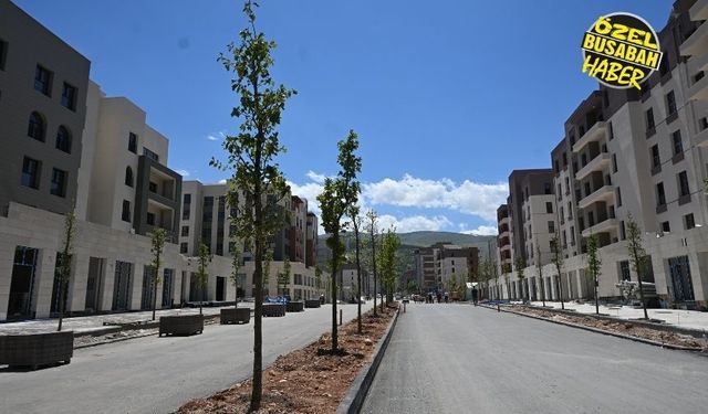 Gurbetçinin gözünden deprem sonrası Malatya: "11 il yıkıldı geçti, biz ne bekliyoruz?"