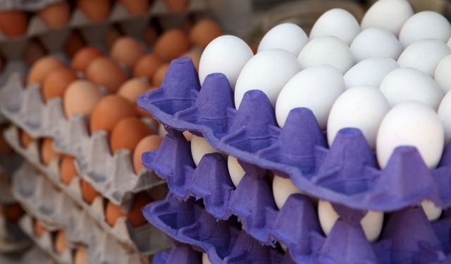 Milyarlarca adet üretildi ama Mart zirvesi aşılamadı! Yumurtada fiyat dengeleri değişiyor mu?