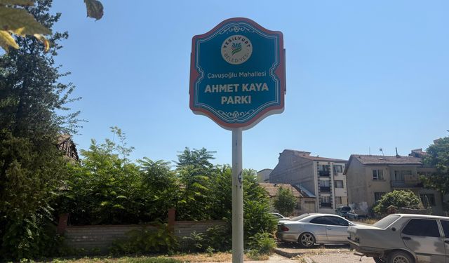 Ahmet Kaya’ya vefa bu kadar mı? Malatya kendi öz evladını unuttu mu?