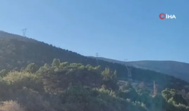 Isparta’daki orman yangınında 10 hektar alan zarar gördü
