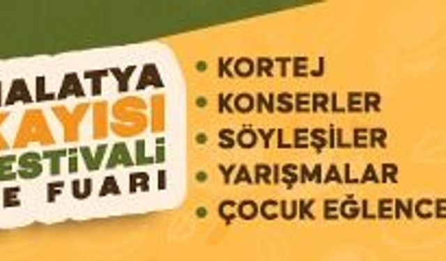 MALATYA KAYISI FESTİVALİ