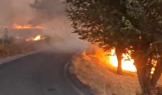 Malatya Tohma'da korkutan yangın: İtfaiye ekipleri hızla müdahale etti