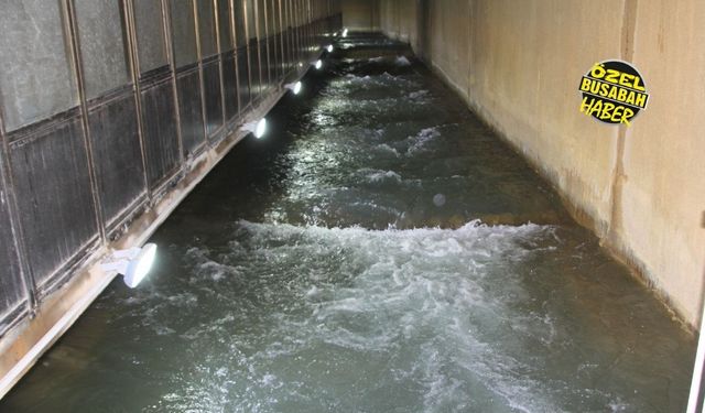 Malatya’da deprem sonrası şebeke suyu açıklaması: MASKİ müdürü son durumu paylaştı!