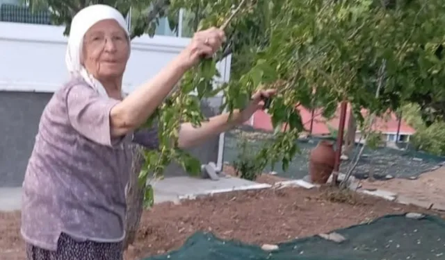 Arapgir’de dutlar heba olmasın diye 85 yaşındaki çiftten pekmez mesaisi
