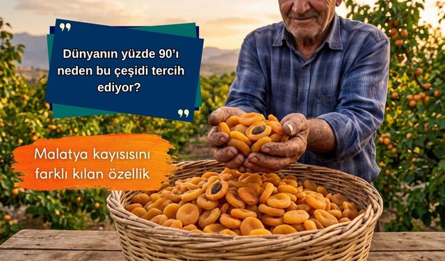 Dünyanın yüzde 90’ı neden bu çeşidi tercih ediyor? Malatya kayısısını farklı kılan özellik