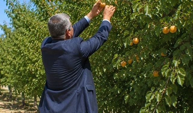 Evrakta değil tarihte tescilli: BBP'li Duman'dan Malatya kayısısı polemiklerine son nokta