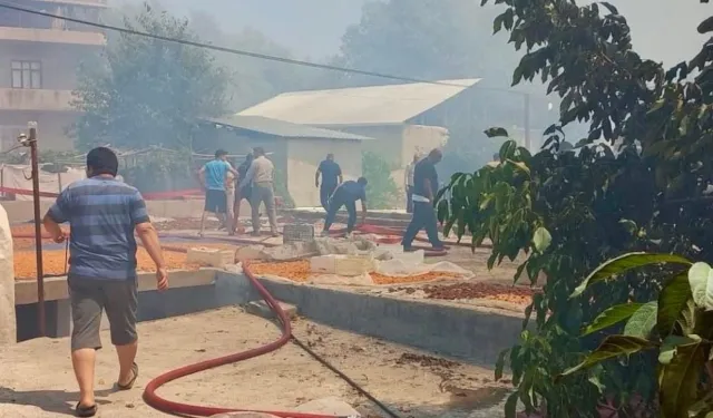 Malatya Darende’de yangın evlere sıçradı! Hava desteği seferber edildi