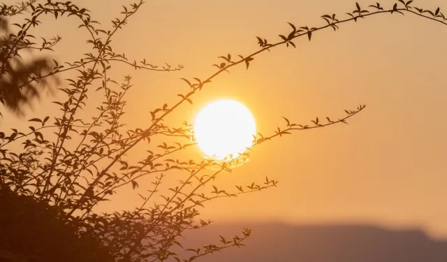 Meteoroloji’den Malatya’ya akşam saatleri için uyarı! Bugün hava nasıl olacak?