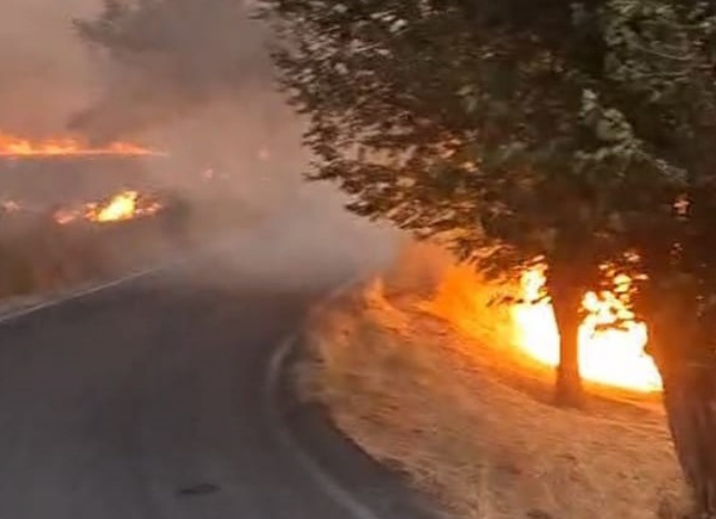Malatya Tohma'da korkutan yangın: İtfaiye ekipleri hızla müdahale etti