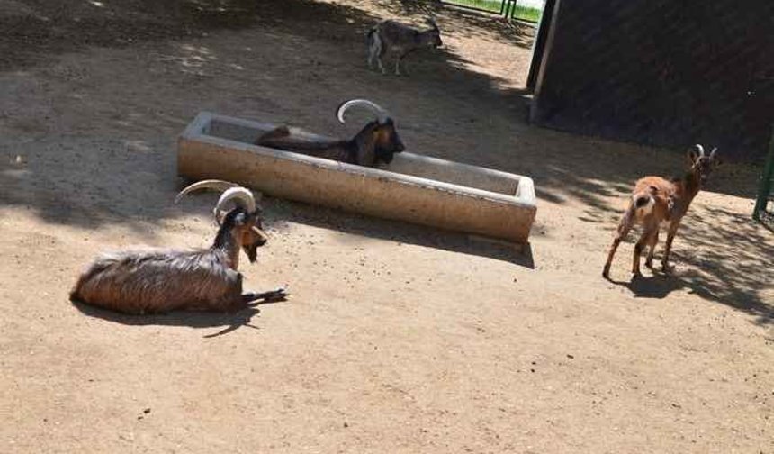 İşte Malatya’da piknik yapılacak yerler