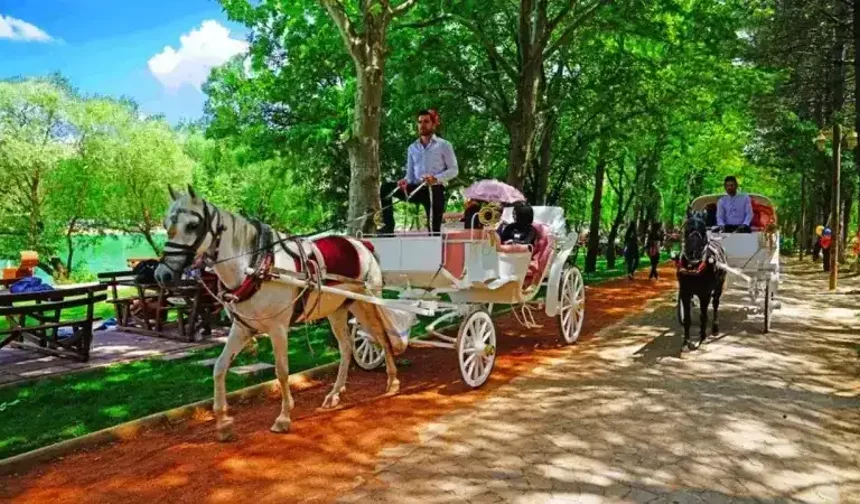 Malatya’da gezilecek en güzel yerler ve ulaşım rehberi