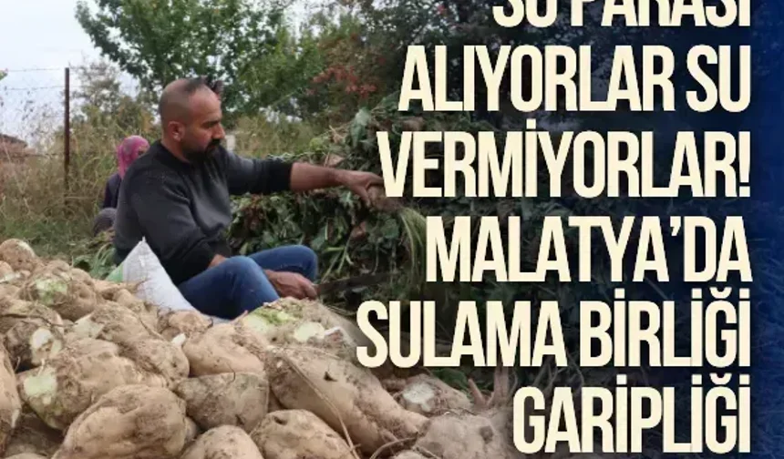 Su parası alıyorlar su vermiyorlar! Malatya’da sulama birliği garipliği