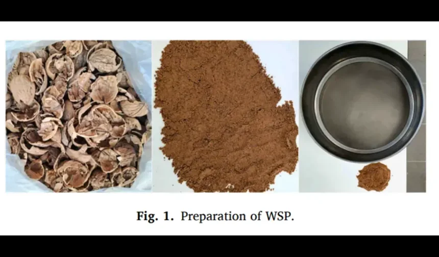 Malatya’da tarihi buluş dünyanın gündeminde! Ceviz kabuğunu asfalta dönüştürdüler