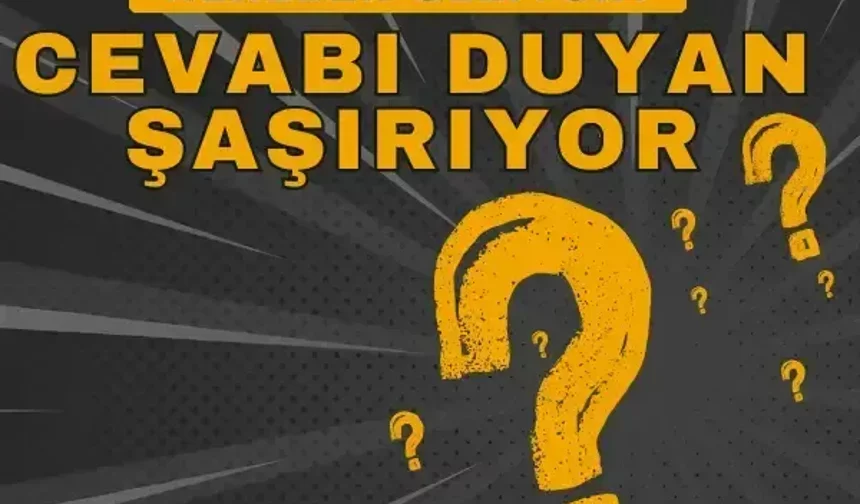 Baskil’in geliri nereden geliyor? Cevabı duyan şaşırıyor