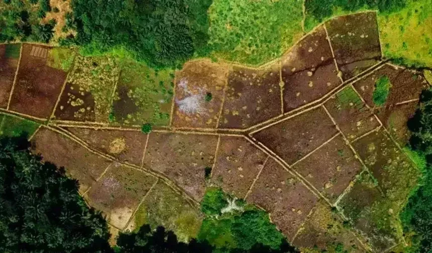 MOLLAKASIM MAHALLESİNDE BULUNAN 19 ADET TAŞINMAZIN SATIŞI İŞİ İHALE İLANI