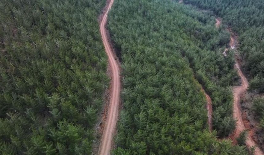 Malatya’da 10 kilometrelik Yeni orman yolu yapımı ihaleye çıkıyor