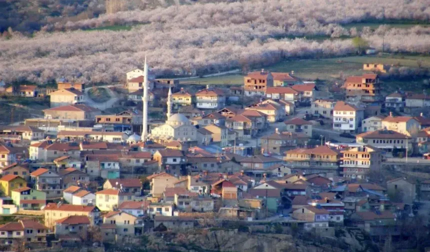 Hekimhan ekonomisi kayısı ve madencilikle canlanıyor