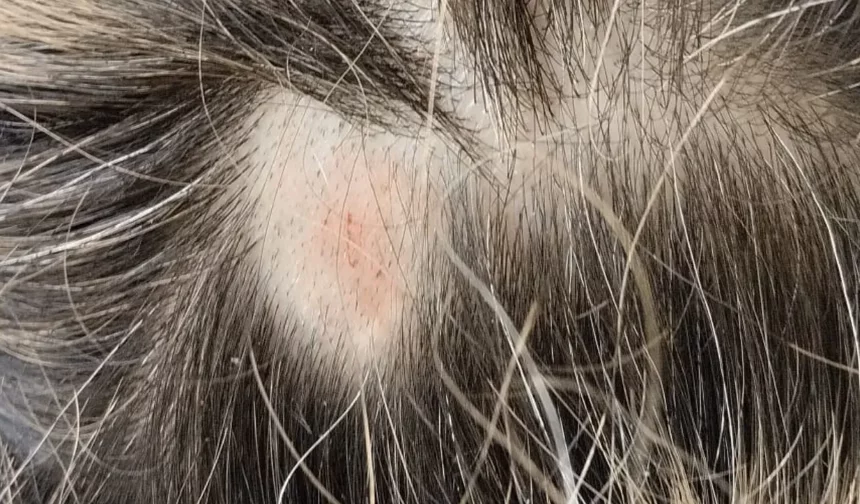 42 yıllık berberden şaşırtan iddia: Saçkıran 14 günde tarih oluyor